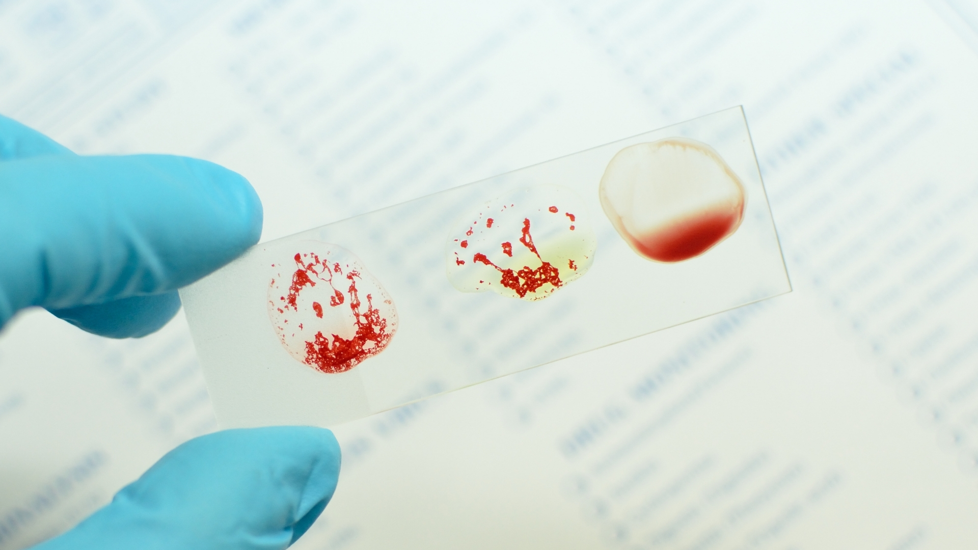 Laboratorium ludzkiego ciała