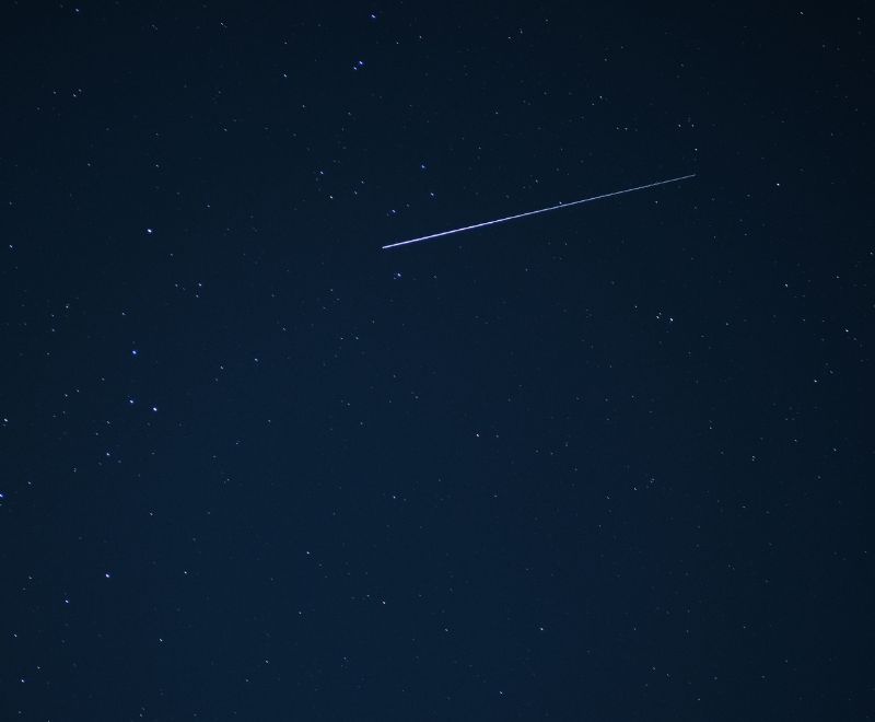 Perseidy w Ogrodzie Botanicznym