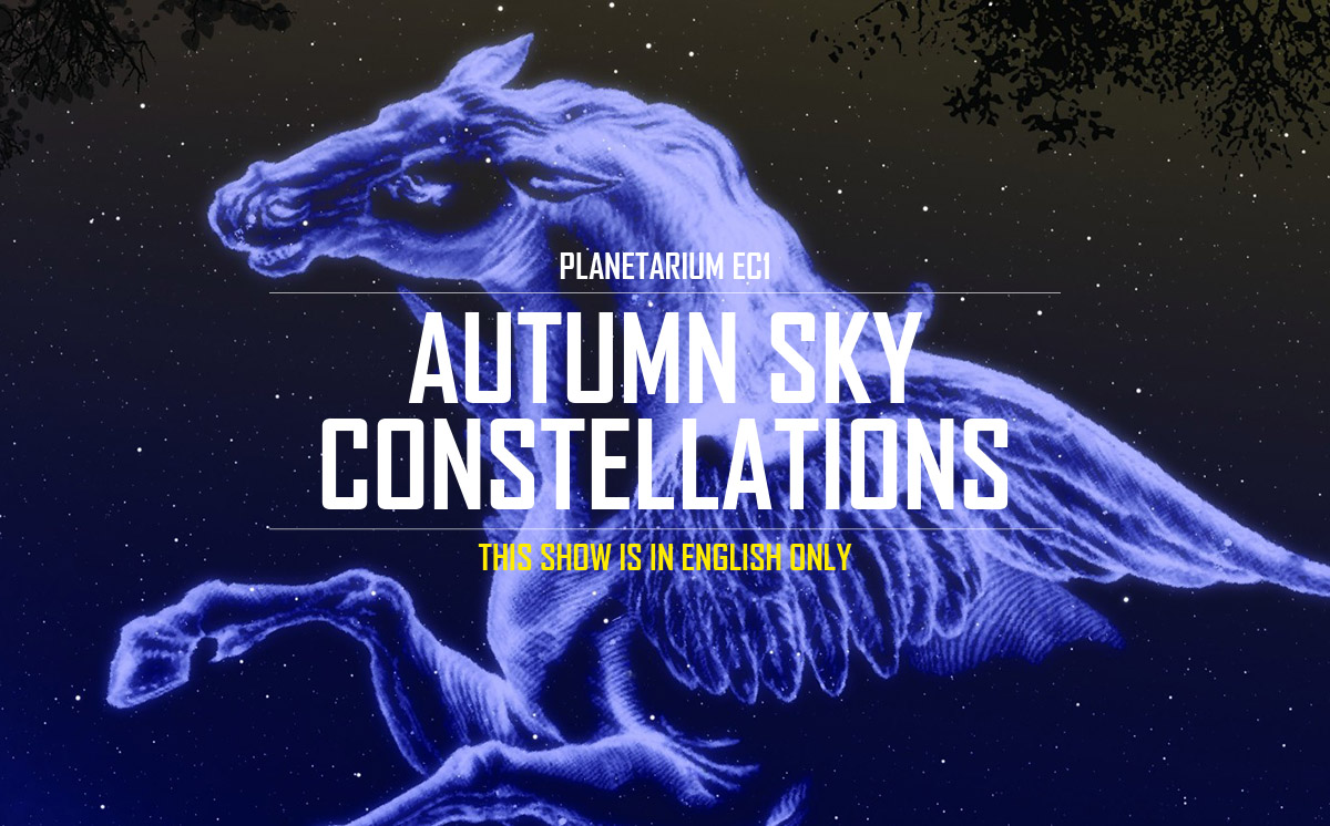 Autumn Sky Constellations