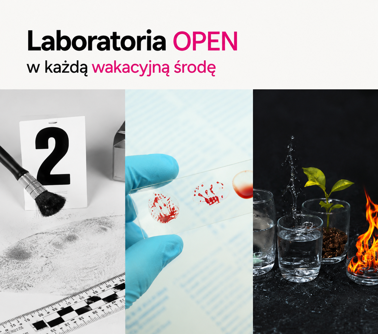 Laboratoria OPEN w każdą wakacyjną środę