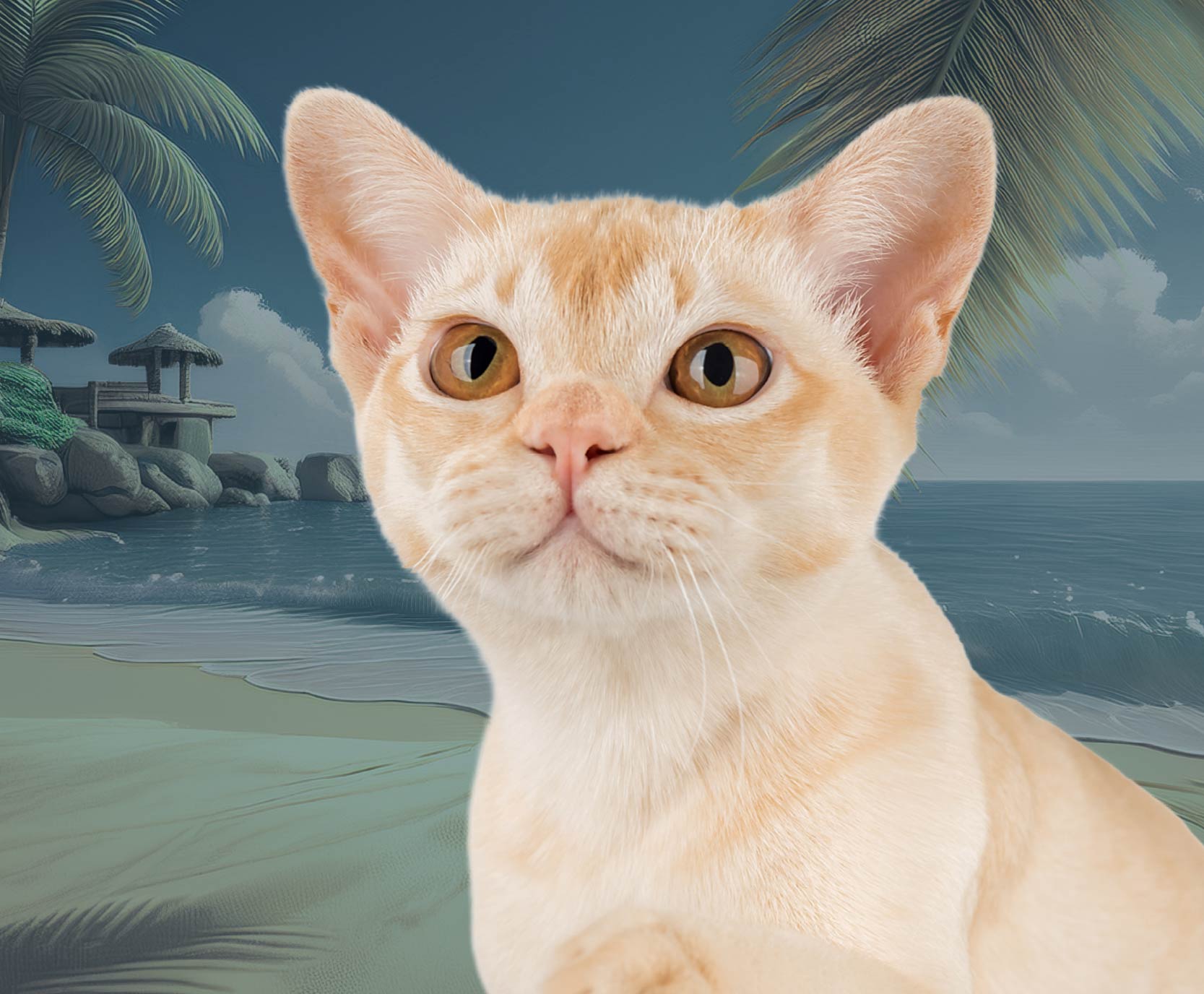 KOCI WEEKEND W EC1 Łódź