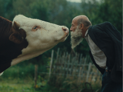 23. MDAG | Better Go Mad In the Wild | Dzikie szaleństwo 23. MDAG | Better Go Mad In the Wild | Dzikie szaleństwo