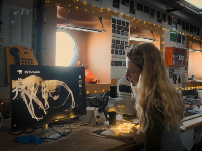 23. MDAG | How Deep is Your Love | Jak głęboka jest twoja miłość?