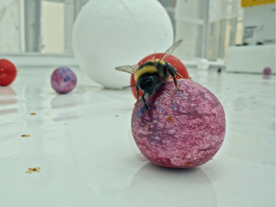 23. MDAG | Flying Scents - Of Plants and People | Sekretne życie roślin